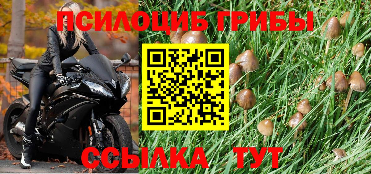 Галлюциногенные грибы Cubensis  Вход с VPN  Петропавловск-Камчатский 