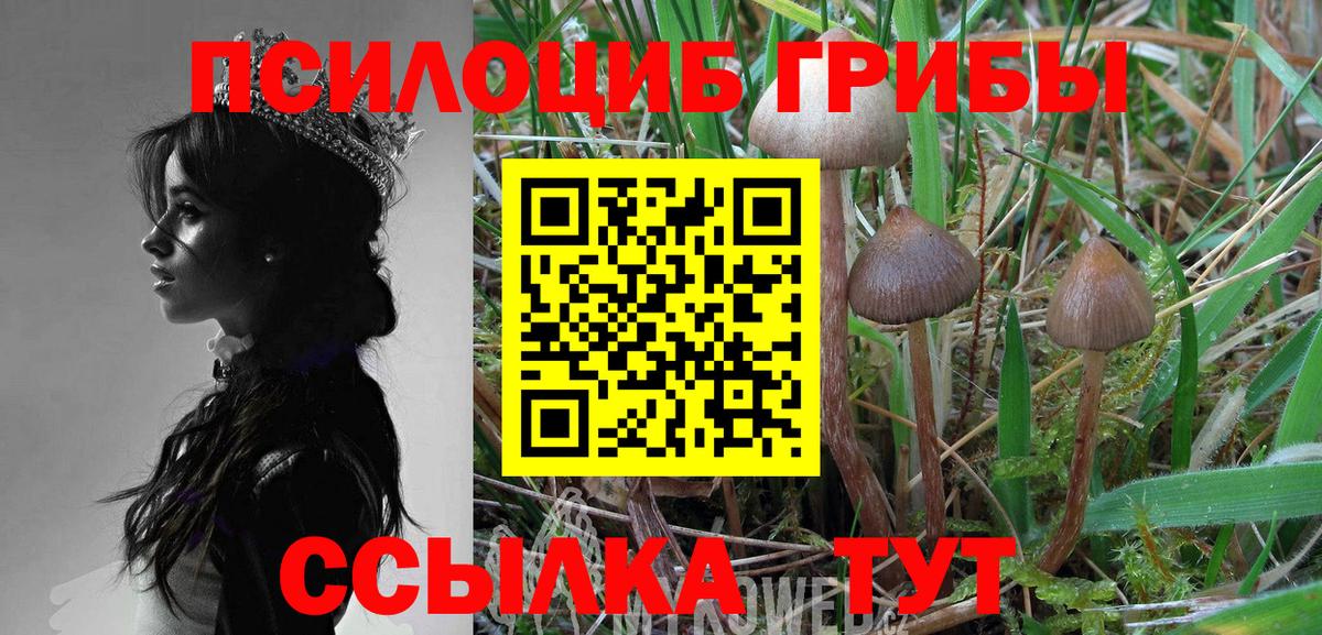 Галлюциногенные грибы мицелий Петропавловск-Камчатский
